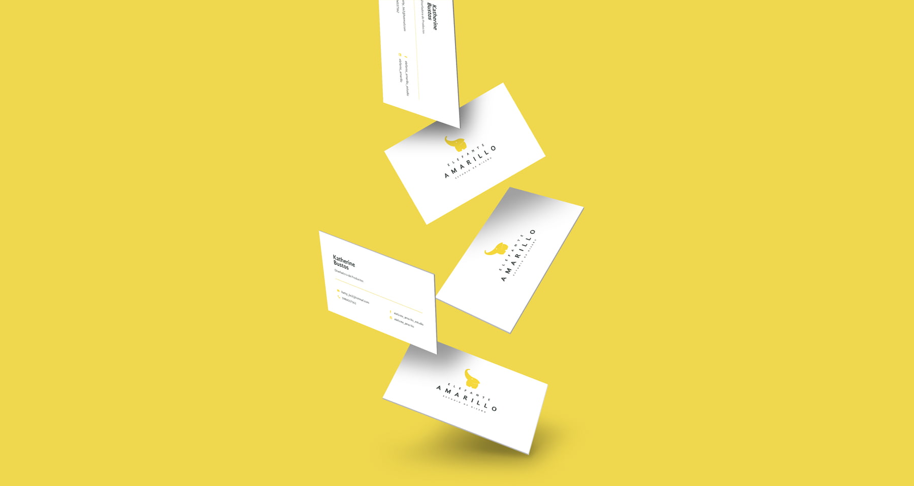 Diseño de logotipos | Estudio de diseño Elefante amarillo | Quito, Ecuador | Ichiboch | Andrés Plascencia