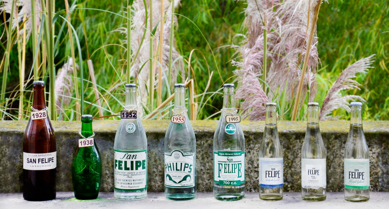 Branding para agua San Felipe - Ecuador