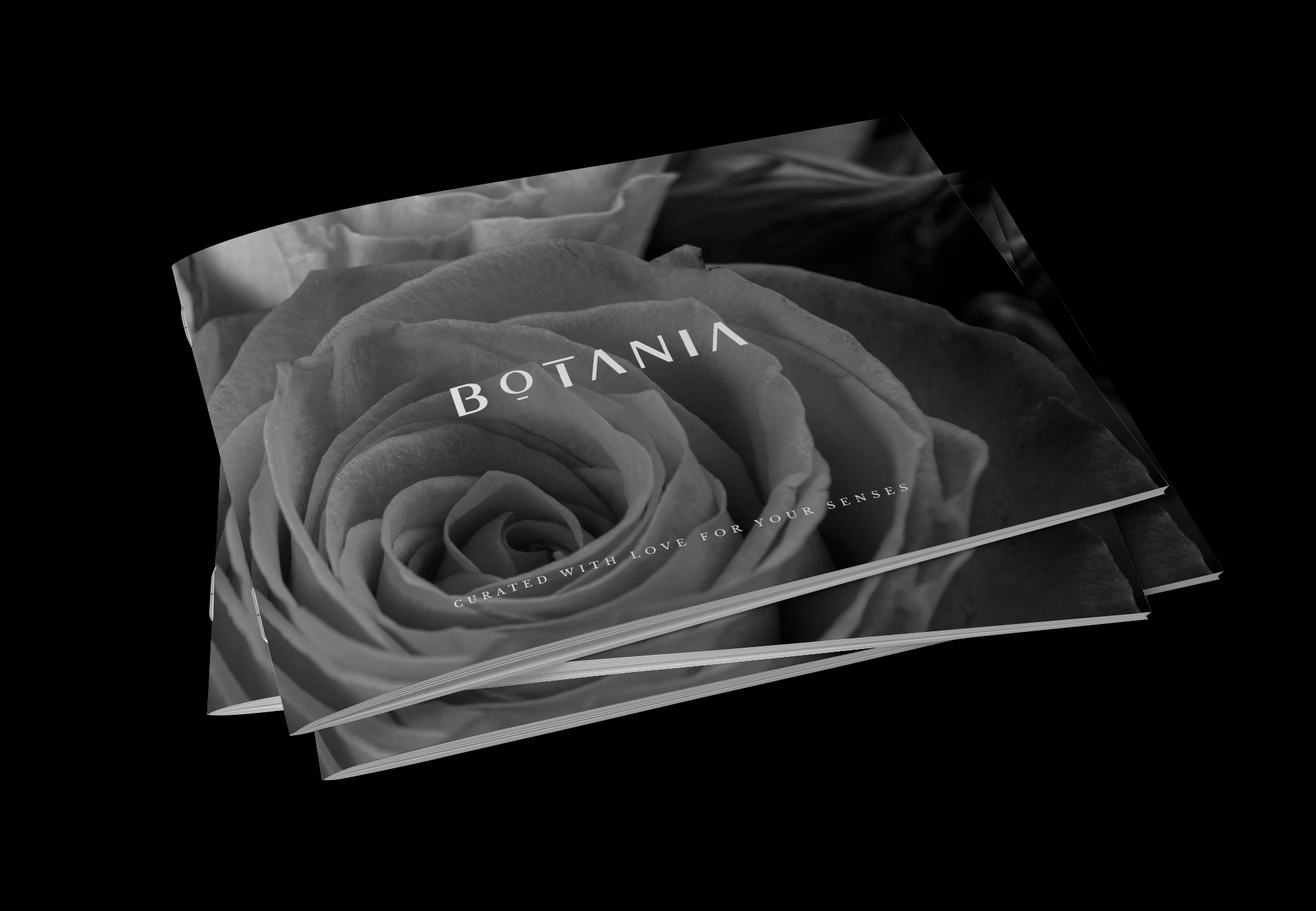 Botania Flower Boutique – Plascencia Brand Consulting