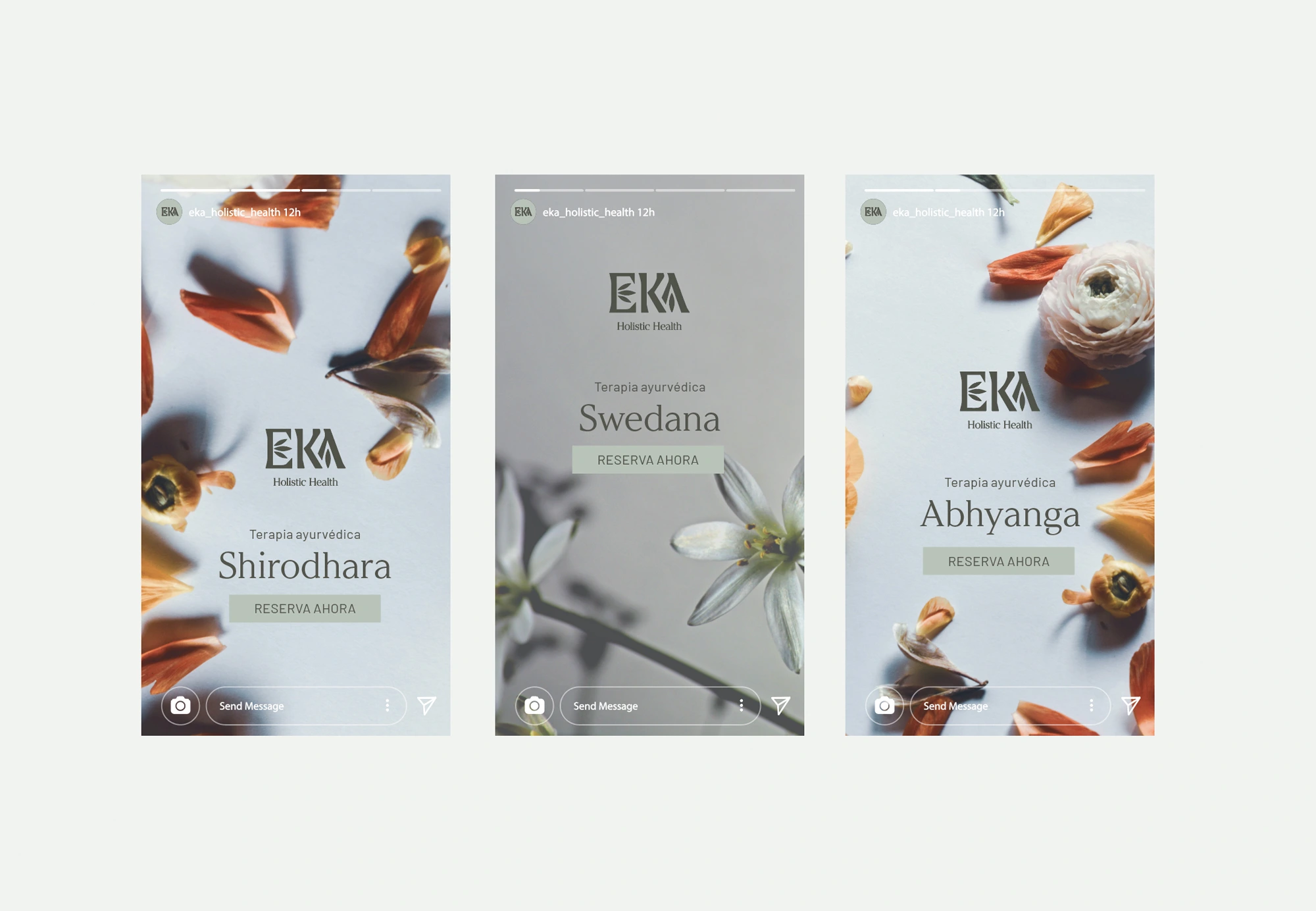 Aplicación de instagram para EKA Holistic Health