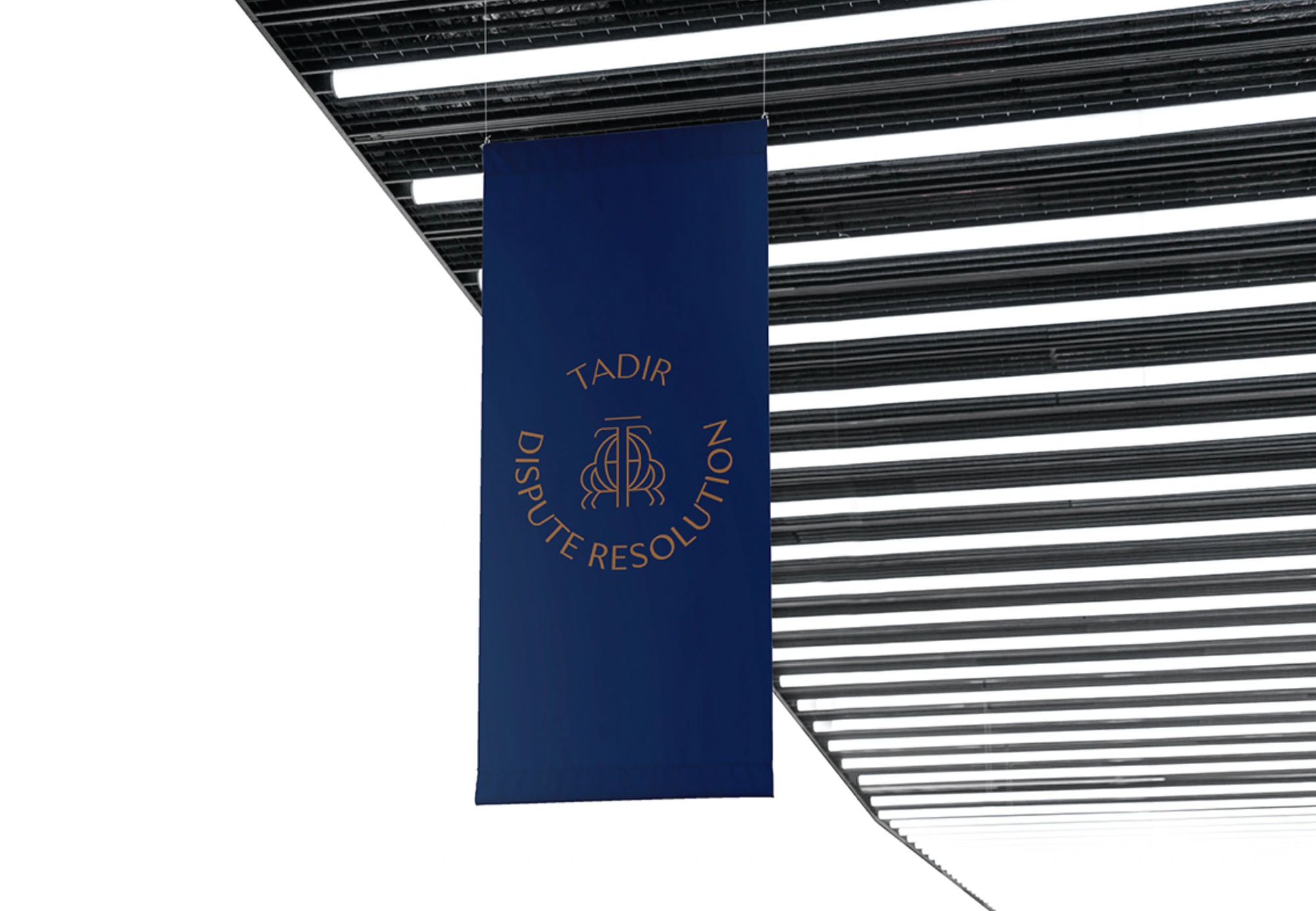TADIR Dispute Resolution – Plascencia Brand Consulting