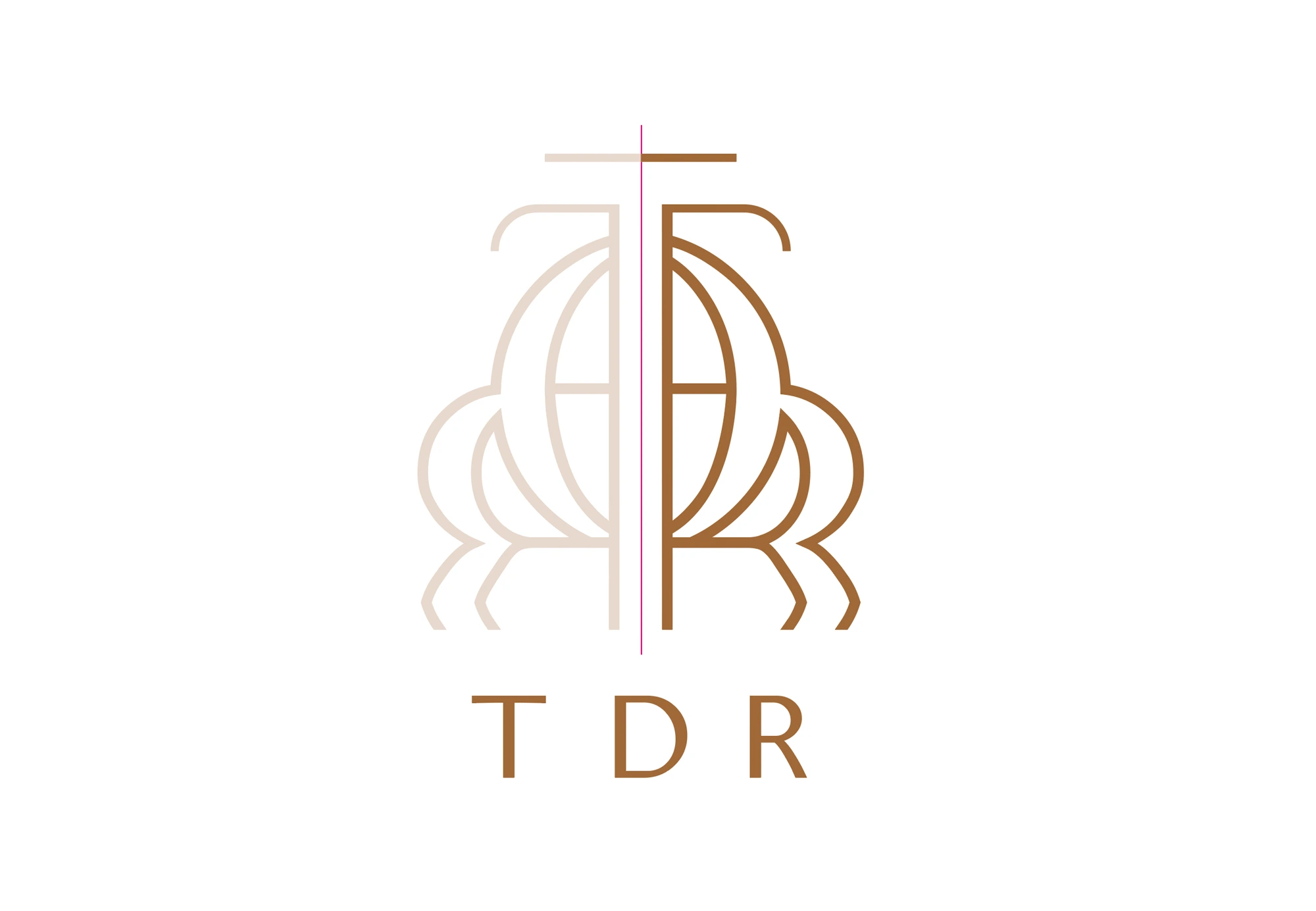 TADIR Dispute Resolution – Plascencia Brand Consulting