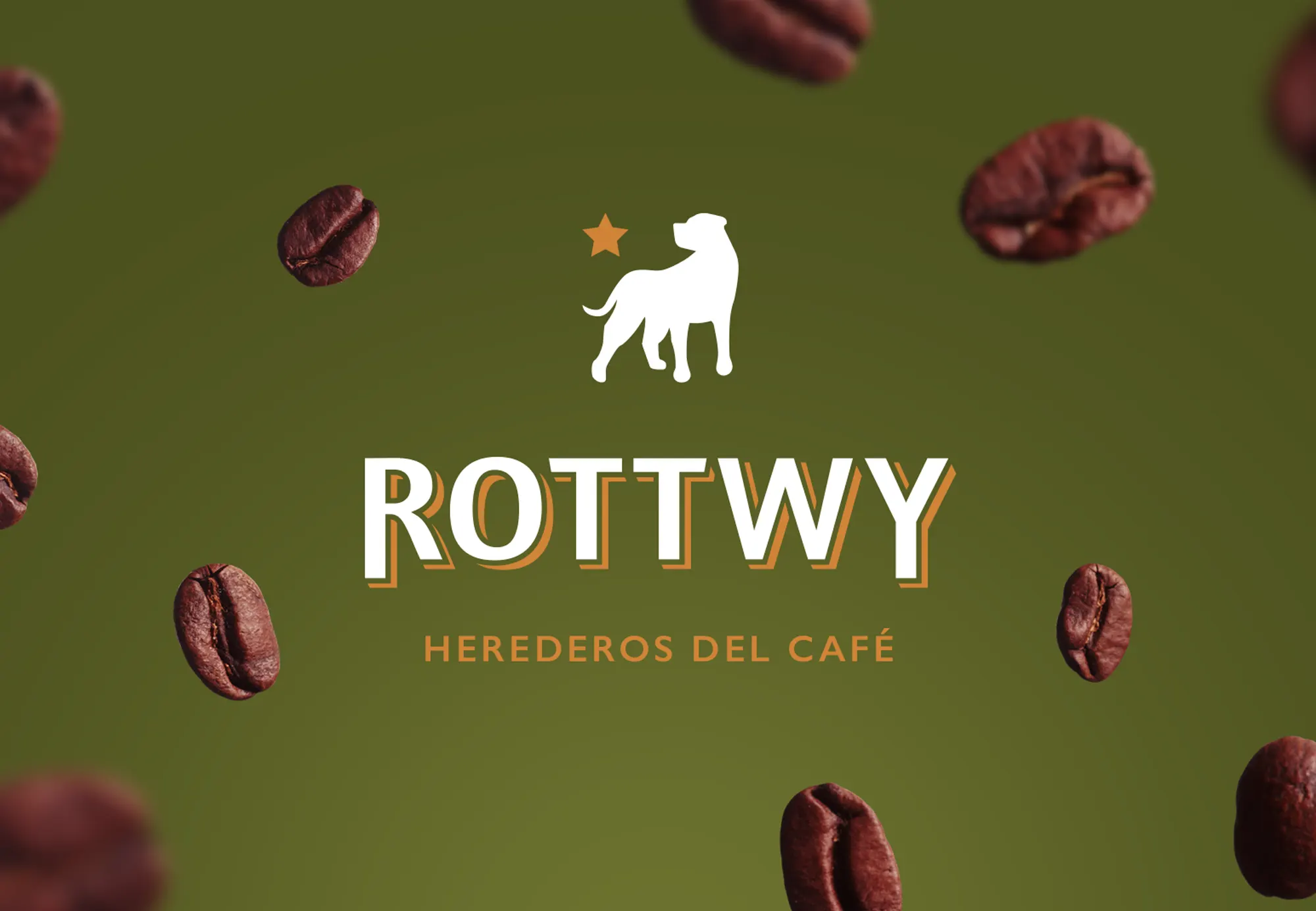 identidad-visual-packaging-cafe-de-especialidad-loja-1